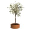 Plantenbak Cirum zonder bodem Ø150×60 cm