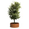 Plantenbak Cirum Ø150×60 cm