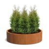 Plantenbak Cirum zonder bodem Ø150×40 cm