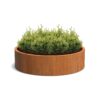 Plantenbak Cirum zonder bodem Ø150×40 cm