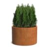 Plantenbak Cirum Ø120×80 cm