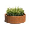 Plantenbak Cirum zonder bodem Ø120×40 cm