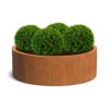 Plantenbak Cirum Ø120×40 cm