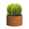 Plantenbak Cirum Ø100×60 cm