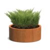Plantenbak Cirum zonder bodem Ø100×40 cm