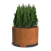Plantenbak Cirum met poten Ø120×80 cm