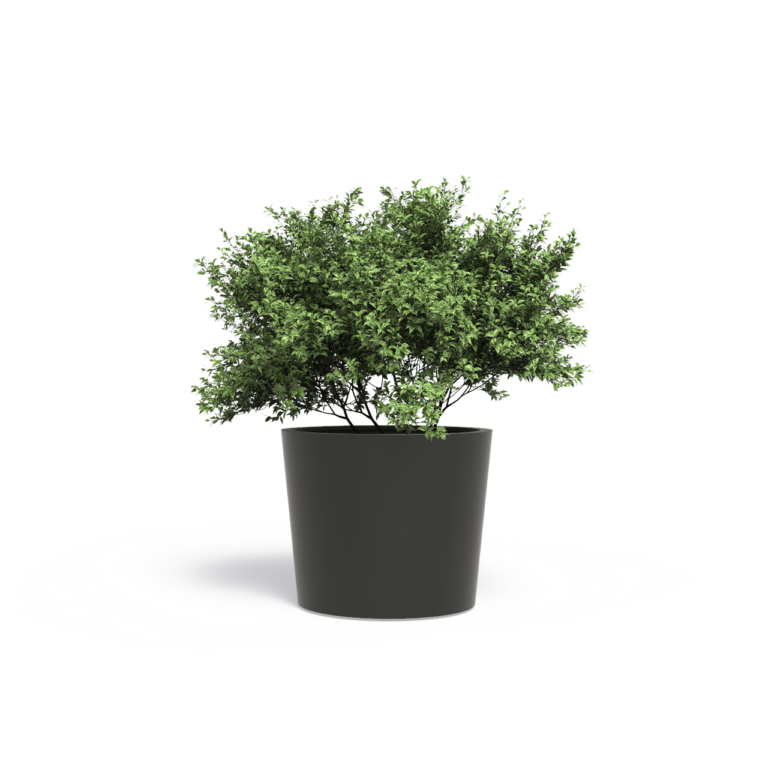 Plantenbak Cairo 60x60x60 cm