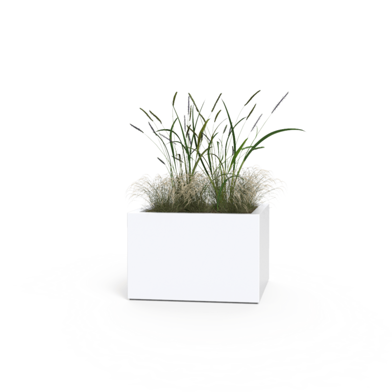 Plantenbak Buxus met wielen 80x80x80 cm
