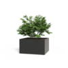 Plantenbak Florida zonder bodem 100x100x60 cm