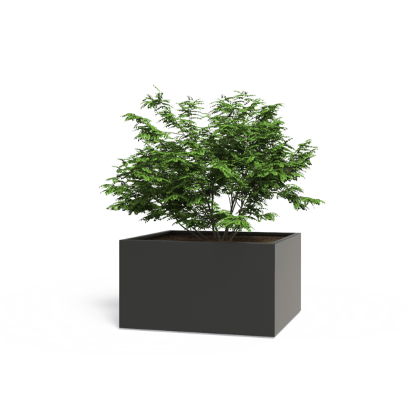Plantenbak Florida zonder bodem 100x100x60 cm