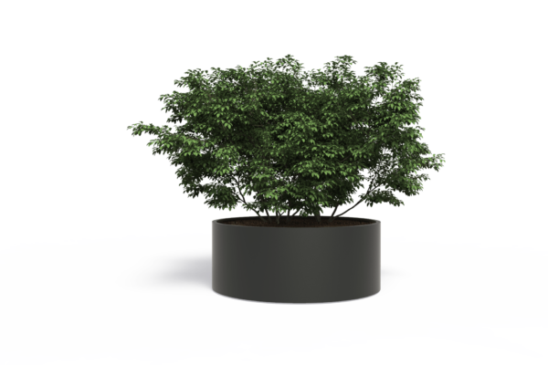 Plantenbak Sydney 150x150x40 cm