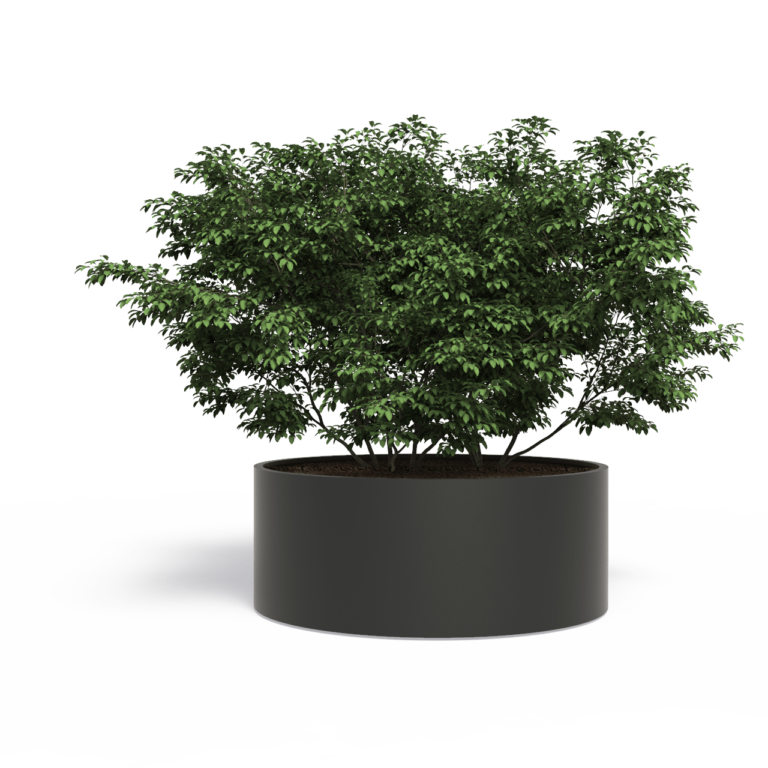 Plantenbak Sydney zonder Bodem 100x100x40 cm