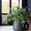 Plantenbak Jumbo Patt zwart Ø73×61 cm