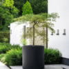 Plantenbak Jumbo Max zwart Ø110×110 cm