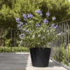 Plantenbak Bucket zwart Ø50×40 cm