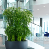 Plantenbak City Bowl zwart Ø92×50 cm