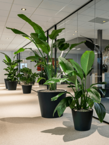Plantenbak Jumbo Bucket zwart Ø98×85 cm