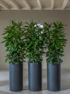Plantenbak Klax zwart Ø40×80 cm