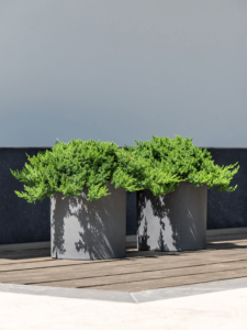 Plantenbak Max grijs Ø50×50 cm
