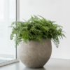 Plantenbak Jumbo Orb beige Ø111×91 cm