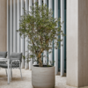 Plantenbak Jumbo Charlie beige Ø84×81 cm
