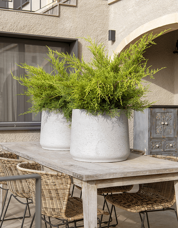 Plantenbak Mini Orb grijs Ø39×35 cm
