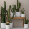 Plantenbak Patt grijs Ø45×38 cm