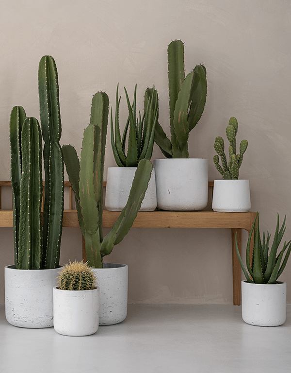 Plantenbak Patt grijs Ø45×38 cm