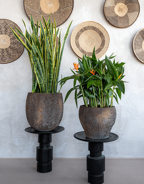 Plantenbak Claire bruin Ø40×33 cm