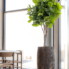Plantenbak Tarb bruin Ø50×90 cm