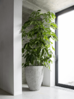 Plantenbak Bernd grijs Ø53×60 cm Plantenbak Bernd grijs Ø53×60 cm