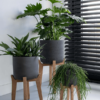 Plantenbak Charlie Feet Low zwart Ø47×62,5 cm