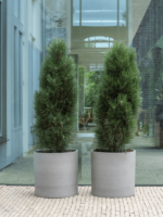 Plantenbak Max grijs Ø42,5×42,5 cm Plantenbak Max grijs Ø42,5×42,5 cm