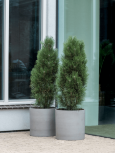 Plantenbak Max grijs Ø50×49 cm
