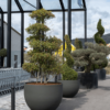 Plantenbak Jumbo Mila Ø78×60 cm