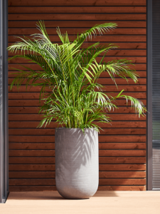 Plantenbak Cody High grijs Ø42×70 cm