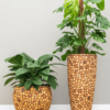 Plantenbak Couple ageless Ø50×45 cm