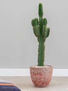 Plantenbak Couple relic pink Ø55×48 cm