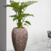 Plantenbak Emperor relic pink Ø57×95 cm