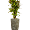 Plantenbak Partner Straight relic jade Ø35×65 cm