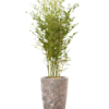 Plantenbak Partner Straight relic rust metal Ø35×65 cm