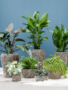 Plantenbak Partner Straight relic zwart Ø35×65 cm