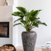 Plantenbak Coppa relic zwart Ø58×83 cm