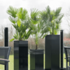 Plantenbak Square zwart 38x38x75 cm