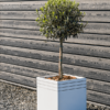 Plantenbak Cube wit 38x38x38 cm