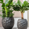 Plantenbak Partner zwart geribbeld Ø60×63 cm
