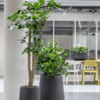 Plantenbak Darcy(hoog) antraciet Ø55×55 cm