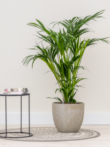 Plantenbak Couple beige Ø37×33 cm
