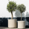 Plantenbak Cilinder beige Ø42×41 cm