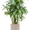 Plantenbak Cilinder beige Ø42×41 cm